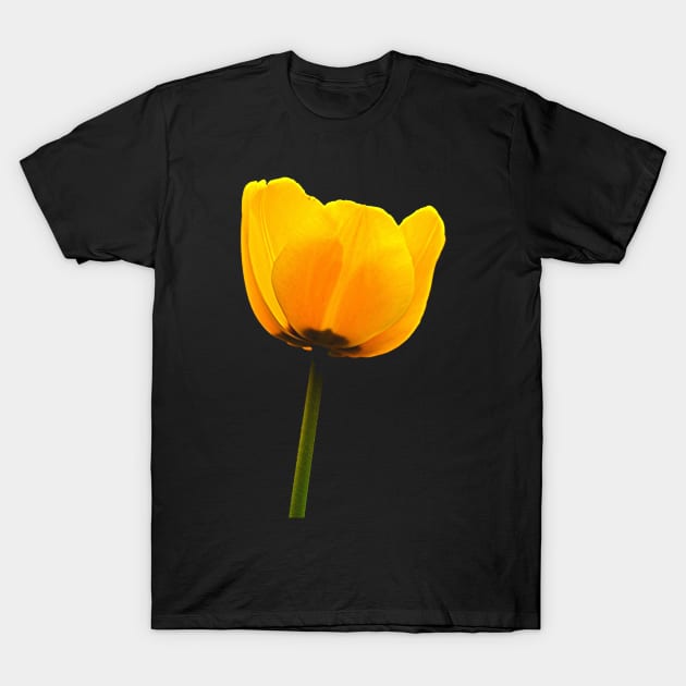 The Delightful Yellow Tulip T-Shirt by enchantingants